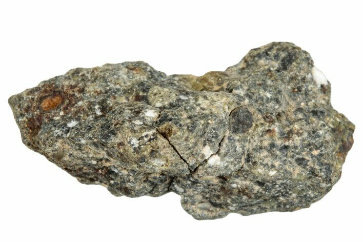 Howardite Meteorite ( g) - Bechar #287000
